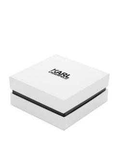 KARL LAGERFELD Γυναίκες Κολιέ 220W3918 Ασημί Ασημί -KARL LAGERFELD Κατάστημα unnamed file 570